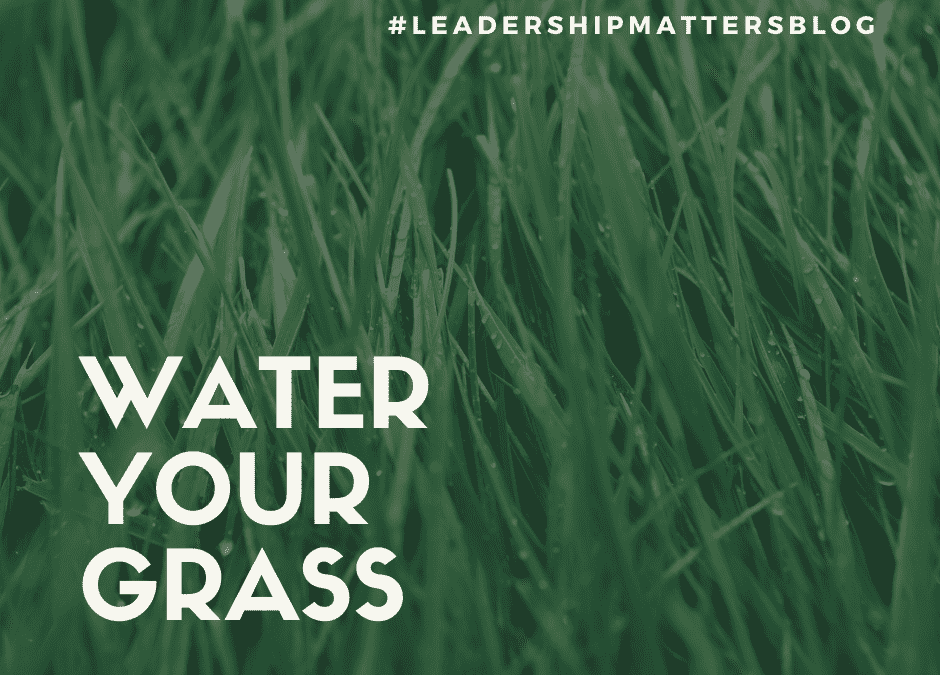 Water Your Grass