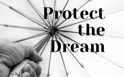 Protect The Dream