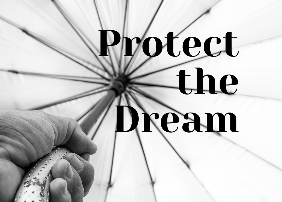 Protect The Dream