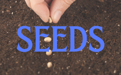 Seeds