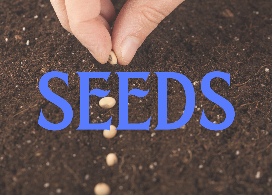 Seeds
